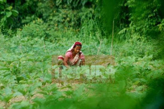 Farmers eyeing for winter season Farmers eyeing for winter season